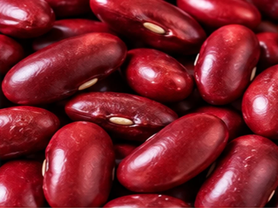 Bean Processing
