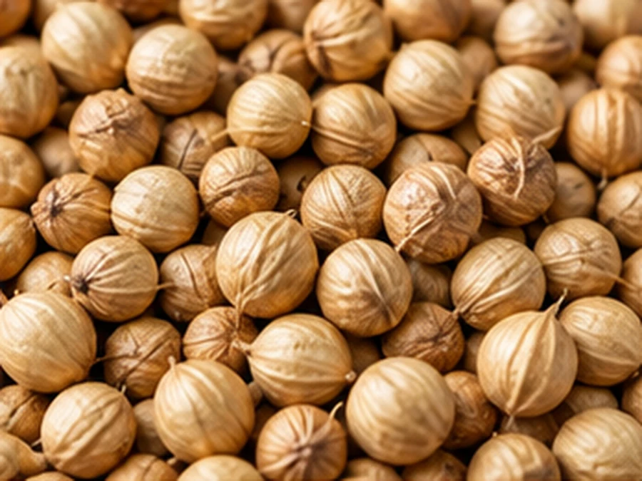 Coriander Seed Processing