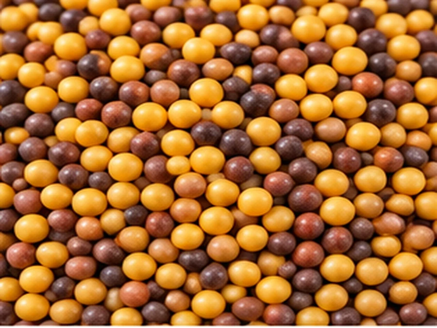 Mustard Seed Processing